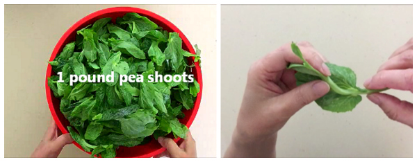 Pea Shoots remove stem